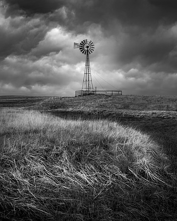 Prairie Sentinel